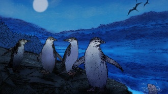 Как животные спят в экстремальных условиях: от 4-секундных снов пингвинов до сна в полёте