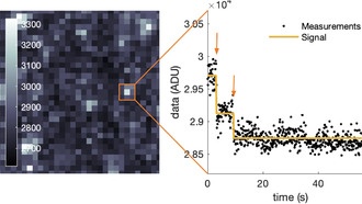 Разработан новый статистический метод для анализа одиночных молекул
