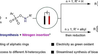 Ученые из Сингапура разработали «зеленый» электрохимический метод синтеза гетероциклов
