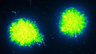 Ученые нашли способ ослабить бактерии, воздействуя на их «принятие решений»