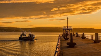 Глобальная торговля рыбой распространяет «вечные химикаты» по всему миру