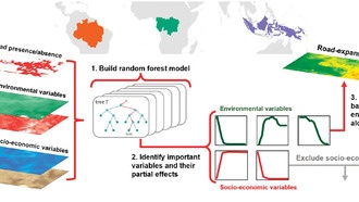 Новый инструмент предсказывает очаги строительства дорог, вырубки лесов и болезней