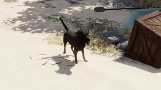 Divinity Original Sin 2: гайд на квест «Найти Эмми» и ключ Бадди