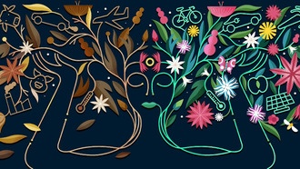 Исследование: климатическая политика может ослаблять «зелёные» ценности