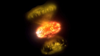 Астрономы получили детальные снимки взрывов звёзд, которые оказались сложнее, чем считалось