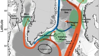 Единичная волна жары 2003 года вызвала долгосрочные изменения в экосистеме Северной Атлантики