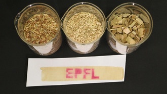 Учёные создали безопасную термобумагу на основе древесного лигнина