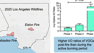 После лесных пожаров в домах сохраняется опасность из-за токсичных веществ
