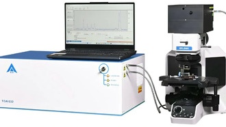 Учёные создали неразрушающий метод анализа хрупкой археологической слоновой кости