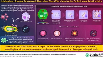 Открыт новый гигантский вирус, который может пролить свет на происхождение жизни