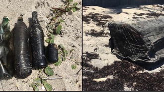 Нефтяные загрязнения могут преодолевать более 8000 км, «путешествуя» на морском мусоре