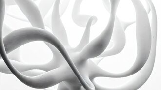 Учёные применили теорию струн для расшифровки природных сетей