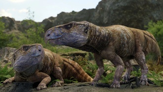 Субботние открытия: недостающие динозавры, активная чёрная дыра и защита от грибка