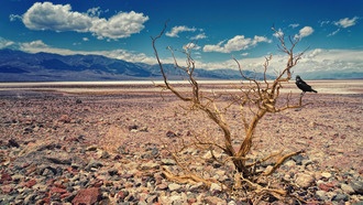 Засухи на полях усилятся, несмотря на рост осадков