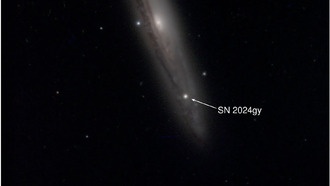 Наблюдения сверхновой SN 2024gy подтверждают модель «отложенной детонации» для звёзд типа Ia