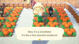 Гайд по снежинкам в Animal Crossing: как получить все зимние рецепты