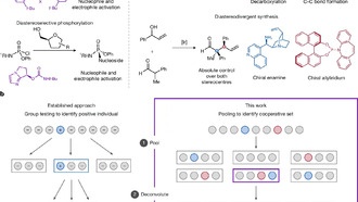 Метод группового тестирования времен COVID ускорит разработку лекарств