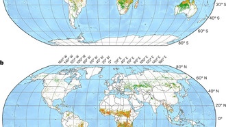 Исследование: последствия лесных пожаров вызывают потерю миллиардов тонн почвы ежегодно