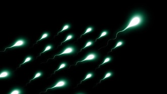 Учёные обнаружили «часы старения» в РНК сперматозоидов