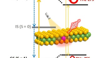 Двумерные материалы открывают новые возможности для квантовых терагерцовых устройств следующего поколения