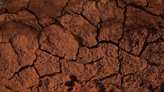 Засоление почв меняет глобальные запасы неорганического углерода, показало исследование