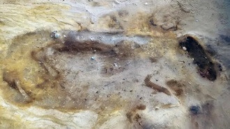 В Англии нашли элитные англосаксонские захоронения и могилу принесённой в жертву лошади