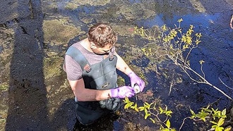 Учёные обнаружили вековой источник загрязнения реки PFAS из старых прудов текстильной фабрики