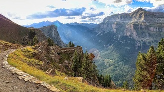 Древние испанские сосны показали усиление средиземноморских штормов