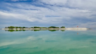 Чистый воздух неожиданно вредит Большому Барьерному рифу