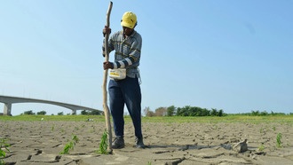Солёность океана весной удваивает вероятность экстремального Эль-Ниньо