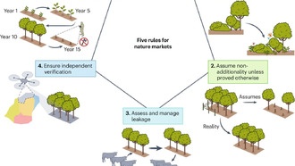 Учёные представили чек-лист для проверки экологических и углеродных кредитов