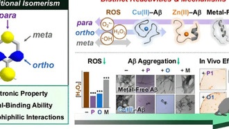 Новая стратегия лечения болезни Альцгеймера нацелена на несколько факторов одновременно