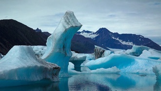 Арктические моря становятся шумнее из-за таяния льда, что создает риски для экосистем
