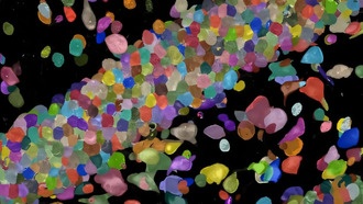 «Белковая лента» CytoTape позволяет учёным записывать и изучать клеточные процессы в масштабе и во времени