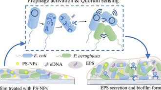 Наночастицы пластика в воде укрепляют бактериальные биоплёнки