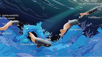 Роборыба с изменяемой жёсткостью раскрыла секреты скорости и манёвренности