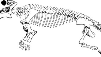 Морские вулканические плато связаны как минимум с четырьмя вымираниями в триасовом периоде