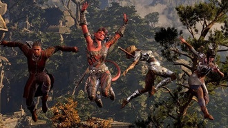 Геймдиректор Baldur's Gate 3 призвал к вежливой критике, вспоминая опыт разработки