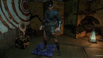 Как изменить внешность и трансмоггировать снаряжение в Nioh 3