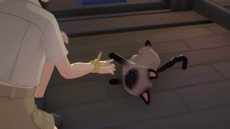 Как получить питомцев в Starsand Island: полный список и способы усыновления