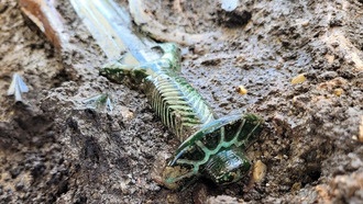 3400-летний бронзовый меч из Нёрдлингена раскрывает продвинутые технологии металлообработки