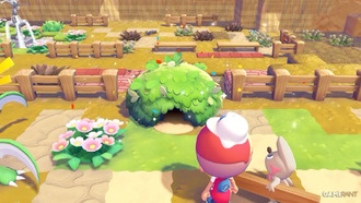 Как построить дом и получить флаг Дито в Pokopia