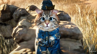 Гайд по головоломкам Момо-Котиков в Where Winds Meet: все испытания в регионе Нефритовых Ворот