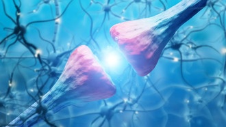 Учёные обнаружили белок мозга, вызывающий рецидив кокаиновой зависимости