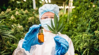 Каннабиноиды CBD и CBG могут помочь в лечении жировой болезни печени