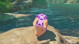 Все пуджи в Каналтских Лесных угодьях: полный гайд по поиску 31 талисмана в Monster Hunter Stories 3