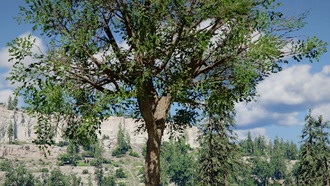 Как получить древесину в Crimson Desert