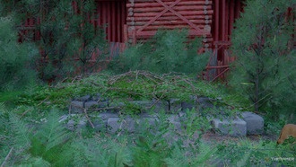 Как активировать точку быстрого перемещения в Пайлуне в Crimson Desert