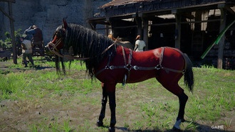 Все легендарные лошади в Crimson Desert: где найти и их характеристики