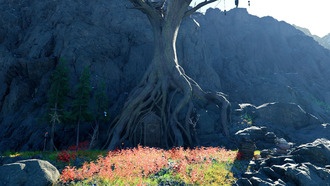 Как попасть в Убежище ведьмы в Заблудшем лесу в Crimson Desert